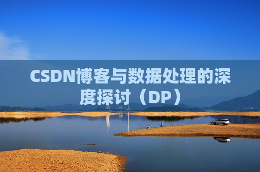 CSDN博客与数据处理的深度探讨（DP）