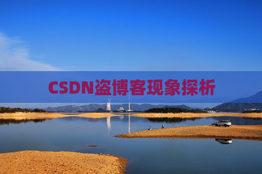 CSDN盗博客现象探析